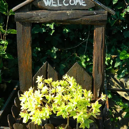 A Casa Di Sandra 3* Mirano