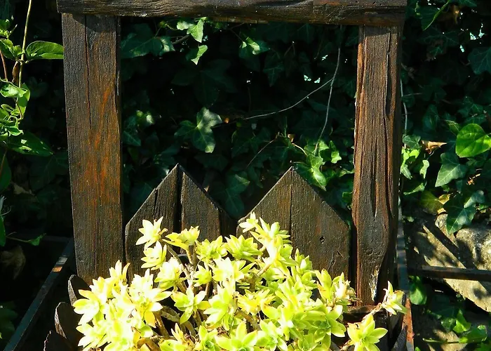 A Casa Di Sandra 3* Mirano