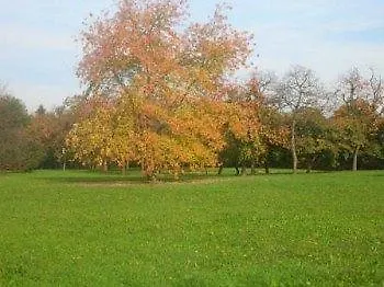 A Casa Di Sandra מיראנו